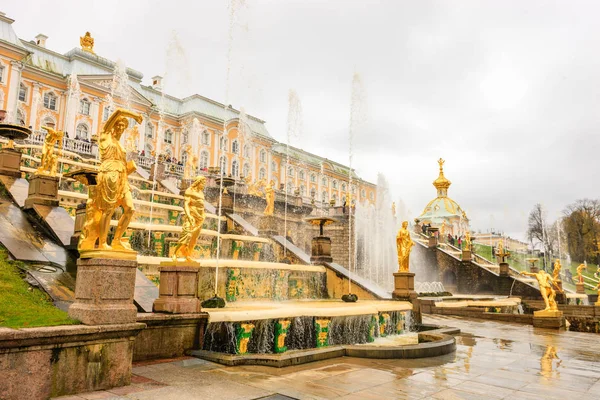 Το Grand Palace Peterhof, μεγάλο καταρράκτη και σιντριβάνι Σαμψών. Peterhof παλάτι που περιλαμβάνονται στον κατάλογο μνημείων παγκόσμιας κληρονομιάς της Unesco. Αγία Πετρούπολη — Φωτογραφία Αρχείου