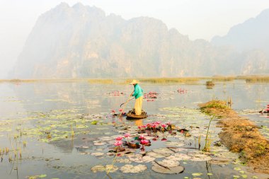 Van uzun gölet, Ninh Binh Eyaleti, Vietnam üzerinde küçük tekne grubu