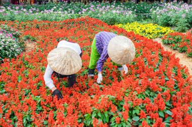 Bahçede çalışan iki kadın