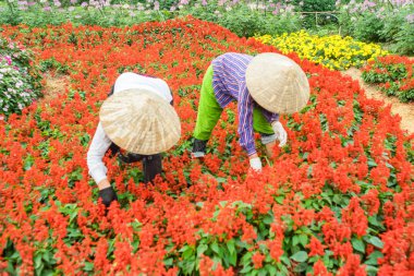 Bahçede çalışan iki kadın