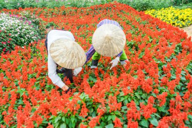 Bahçede çalışan iki kadın