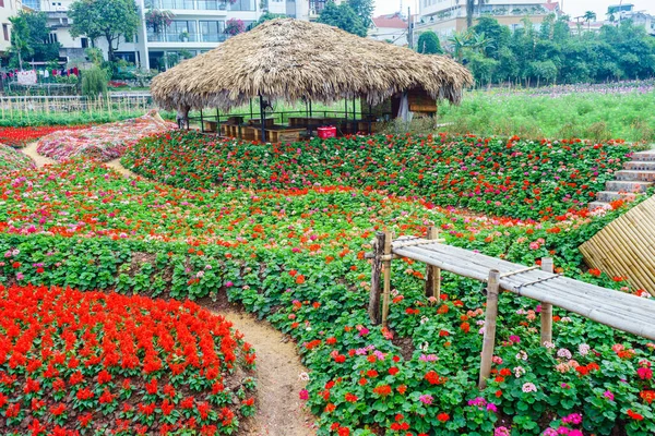 Flores en jardín en Hanoi —  Fotos de Stock