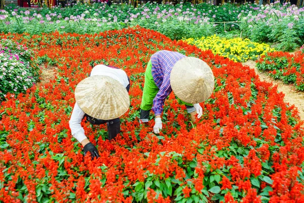 Dos mujeres trabajando en el jardín —  Fotos de Stock