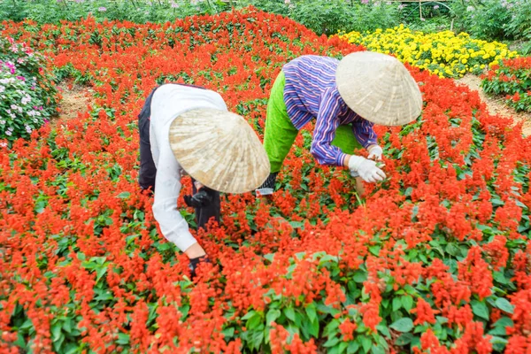 Bahçede çalışan iki kadın