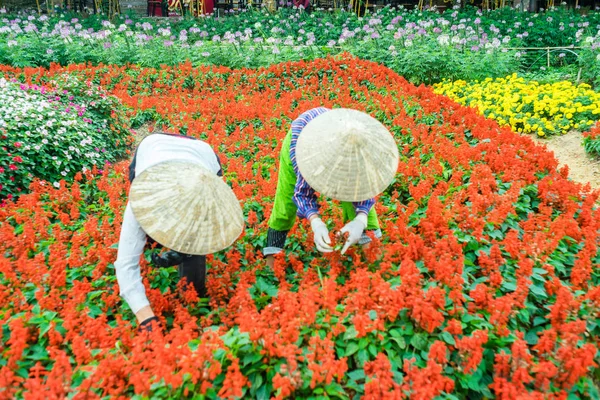 Dos mujeres trabajando en el jardín —  Fotos de Stock