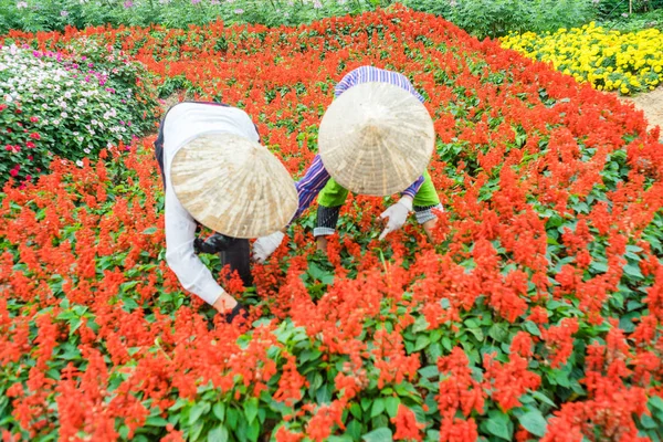 Due donne che lavorano in giardino — Foto Stock
