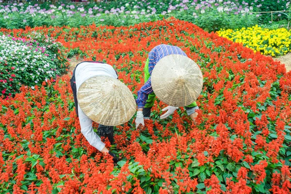 Deux femmes travaillant dans le jardin — Photo