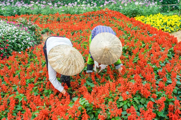Deux femmes travaillant dans le jardin — Photo