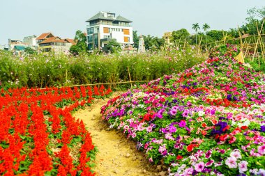 Hanoi, bahçede çiçek