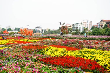 Hanoi, bahçede çiçek