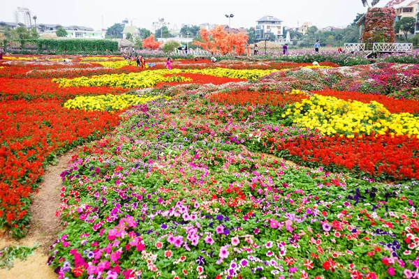 Цветок в саду в Ханое — стоковое фото