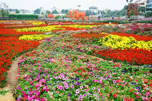 Flor en el jardín en Hanoi —  Fotos de Stock