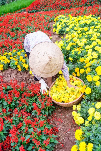 Une femme travaillant dans le jardin — Photo