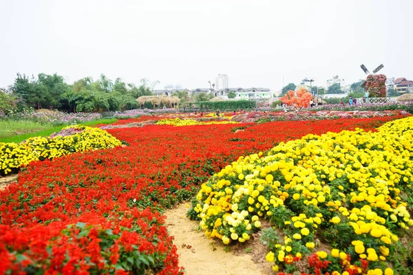 Цветок в саду в Ханое — стоковое фото