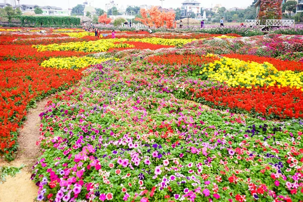 Flor en el jardín en Hanoi —  Fotos de Stock