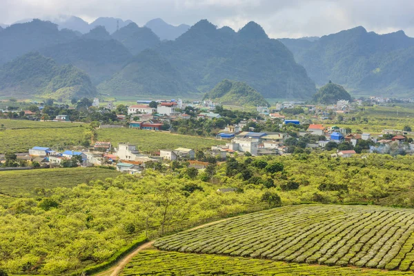 Highland, Észak-Vietnam — Stock Fotó