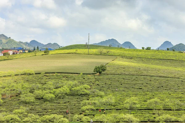 Highland at north Vietnam — Stock Photo, Image