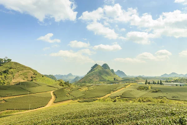 Highland, Észak-Vietnam — Stock Fotó