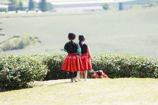 Niños no identificados de minorías étnicas HMong — Foto de Stock