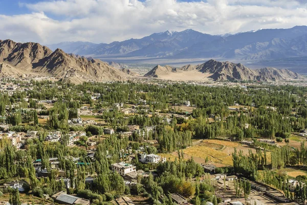 View all Leh city form Shati Stupa — Stock Photo, Image