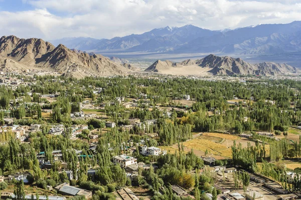 View all Leh city form Shati Stupa — Stock Photo, Image