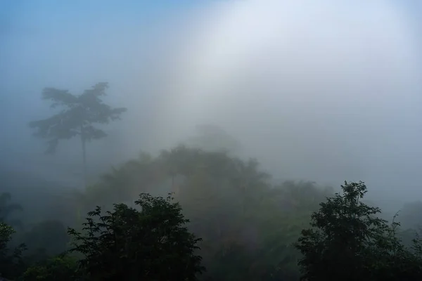 Fenómenos Naturales Fogbow Arco Iris Blanco Produce Por Encima Niebla — Foto de Stock