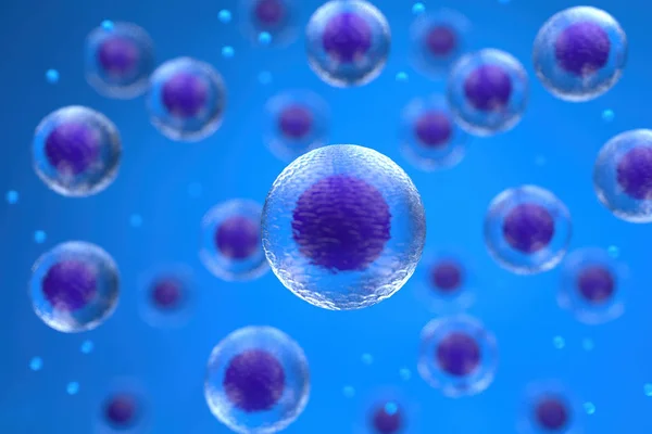 Hücre biyolojisinin 3D yorumlanması en küçük yaşam birimiyle ilgilenir.