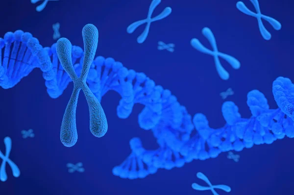 Chromosomeの3Dレンダリング概要科学的背景 3Dイラスト — ストック写真
