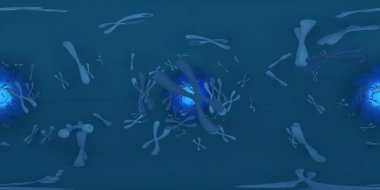 Kromozom bilimsel arka planının 3 boyutlu çizimi. Dikdörtgen 360 Vr görüntü. Tıbbi panoramik arkaplan.