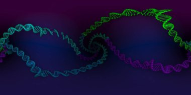 DNA deoksiribonükleik asit yapısının 3 boyutlu çizimi. Dikdörtgen 360 Vr görüntü. Tıbbi panoramik arkaplan.