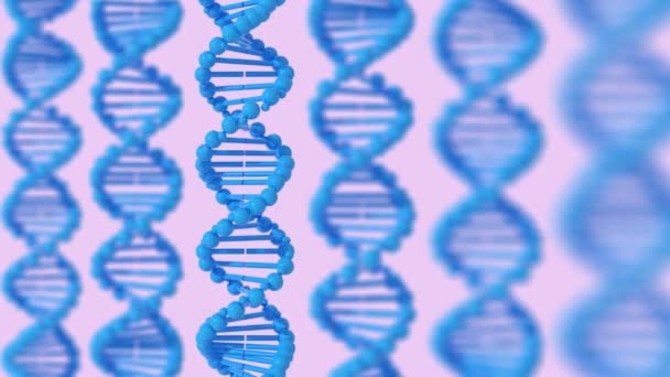 3d weergave van de DNA-structuur (deoxyribonucleïnezuur) — Stockvideo
