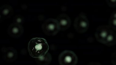 Hücre biyolojisinin 3D yorumlanması en küçük yaşam birimiyle ilgilenir. Hücrelerin çoğalması. Siyah arkaplanda hücre bölünmesi.