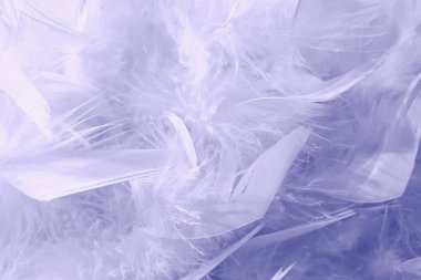 Mavi tüylü tüylü arka plan