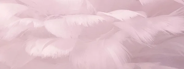 Yumuşak pembe tüyler arka planı kapatır