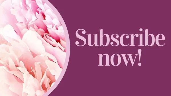 Subscribe now sign for newsletter registration