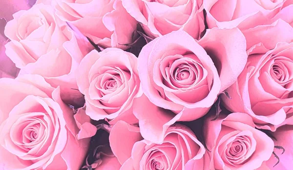 Fond Écran Roses Colorées — Photo