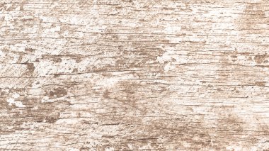 Tahta doğal ahşap arkaplan dokusu