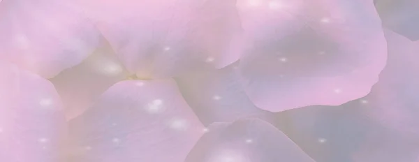 Лепестки Розовой Розы Крупным Планом Блестят — стоковое фото