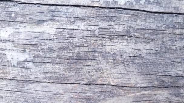 Legno Legno Sfondo Texture Bordo — Video Stock