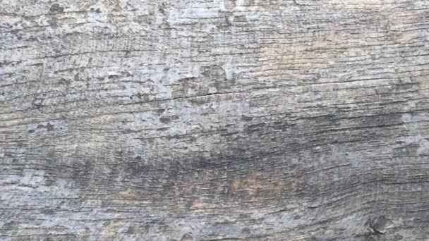 Legno Legno Sfondo Texture Bordo — Video Stock