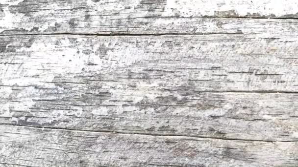 Dřevěné Dřevo Pozadí Textura Deska — Stock video