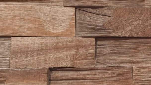 Holz Hintergrund Textur Board — Stockvideo