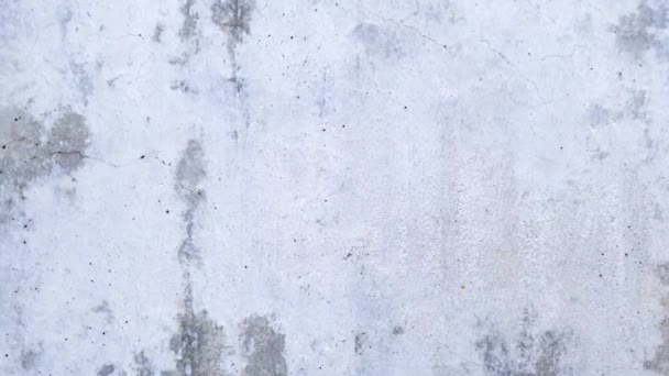 コンクリート壁のテクスチャの背景を着用 — ストック動画