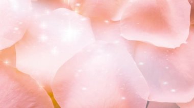 Pembe gül yaprakları parlak arkaplan