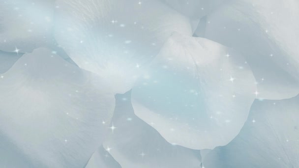 Синие Лепестки Розы Блестящий Фон — стоковое видео