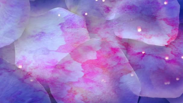 蓝色玫瑰花瓣晶莹的背景 — 图库视频影像