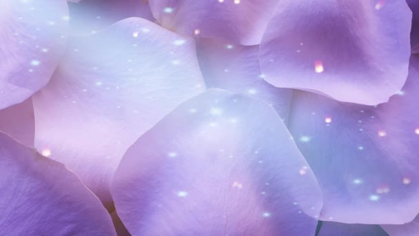 Blue Rose Petals Shiny Background — Stock Video