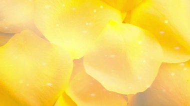 Çiçek yaprakları temiz arkaplan