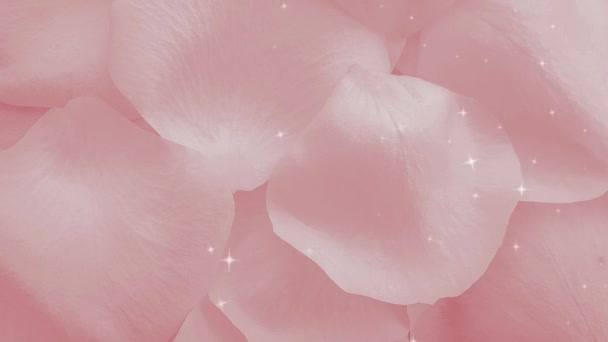 Pink Rose Petals Shiny Background — Stock Video