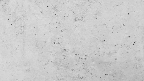 Concrete Grey Worn Wall Background — Stock Video